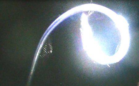 焼津港は太刀魚！カマスも好調